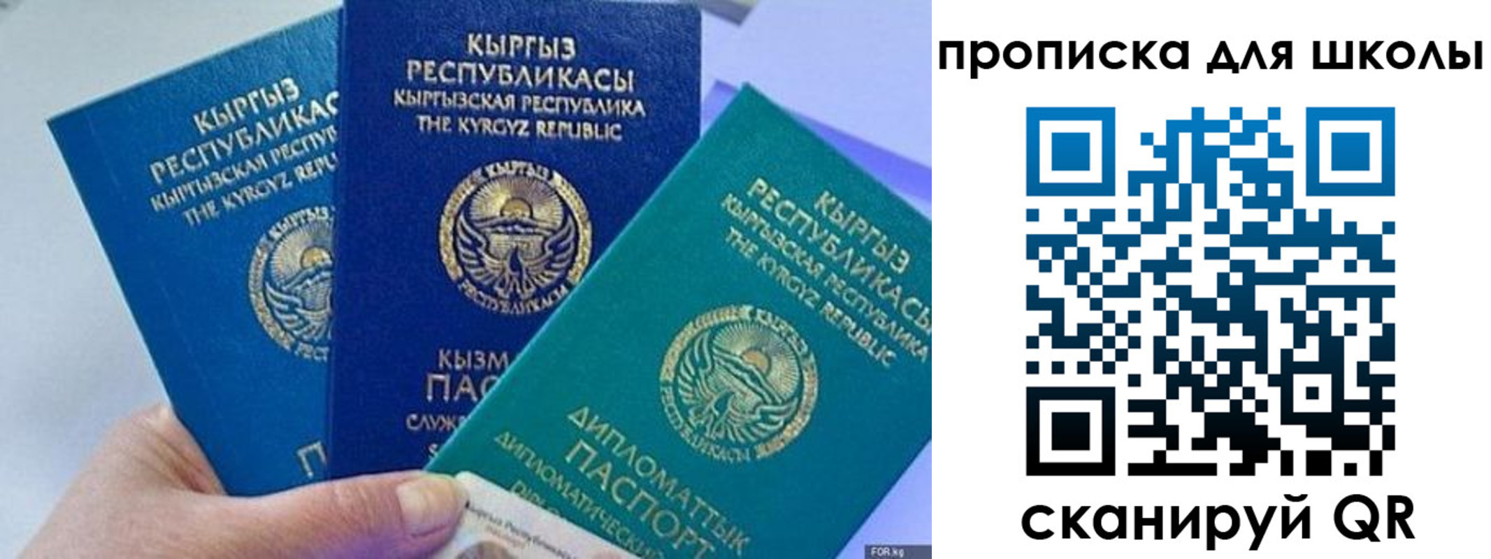 прописка регистрация в Волоколамске